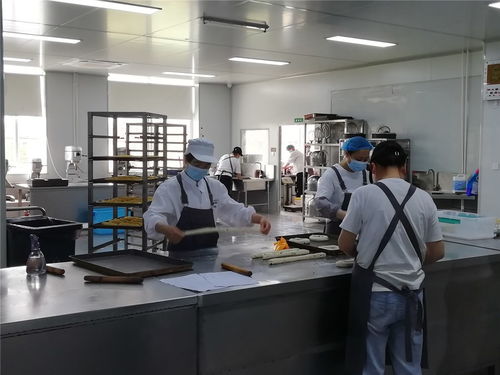 柳陂新村 開(kāi)辦食品加工廠為村民提供增收 甜路