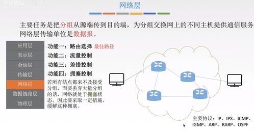 計(jì)算機(jī)網(wǎng)絡(luò)體系結(jié)構(gòu) 技術(shù)開發(fā)與服務(wù)的基石
